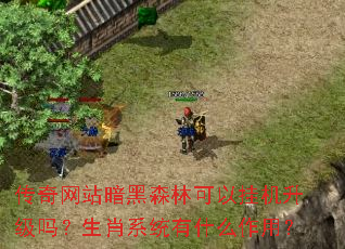 传奇网站暗黑森林可以挂机升级吗?生肖系统有什么作用? 传奇网站暗黑森林可以挂机升级吗?生肖系统有什么作用?