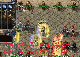 传奇网站暗黑森林可以挂机升级吗?生肖系统有什么作用? 传奇网站暗黑森林可以挂机升级吗?生肖系统有什么作用?
