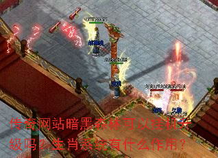 传奇网站暗黑森林可以挂机升级吗?生肖系统有什么作用? 传奇网站暗黑森林可以挂机升级吗?生肖系统有什么作用?