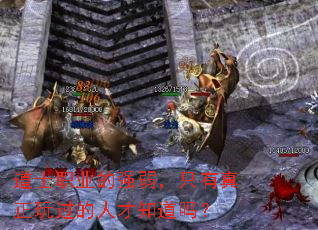 道士职业的强弱,只有真正玩过的人才知道吗? 道士职业的强弱,只有真正玩过的人才知道吗?