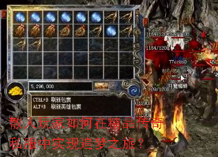ɢ���������ھ�Ʒ����˽����ʵ��׷��֮�ã�