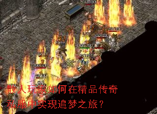 ɢ���������ھ�Ʒ����˽����ʵ��׷��֮�ã�