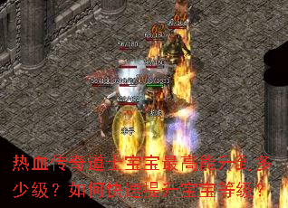 热血传奇道士宝宝最高能升到多少级?如何快速提升宝宝等级? 热血传奇道士宝宝最高能升到多少级?如何快速提升宝宝等级?