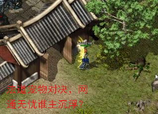 法道宠物对决,网通无忧谁主沉浮? 法道宠物对决,网通无忧谁主沉浮?