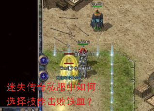 迷失传奇私服中如何选择技能击败铁血? 迷失传奇私服中如何选择技能击败铁血?
