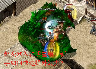 赵奕欢入驻明星服,新手如何快速提升战力? 赵奕欢入驻明星服,新手如何快速提升战力?