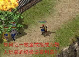 如何让一枚金戒指成为散人玩家的终极逆袭利器? 如何让一枚金戒指成为散人玩家的终极逆袭利器?