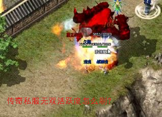 传奇私服无双活跃度怎么刷? 传奇私服无双活跃度怎么刷?