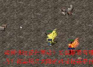 如何快速提升等级?装备获取有哪些技巧?称霸玛法大陆的终极秘籍是什么? 如何快速提升等级?装备获取有哪些技巧?称霸玛法大陆的终极秘籍是什么?
