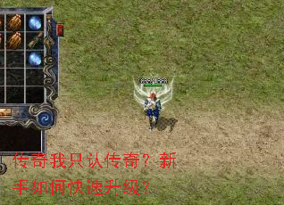 传奇我只认传奇?新手如何快速升级? 传奇我只认传奇?新手如何快速升级?