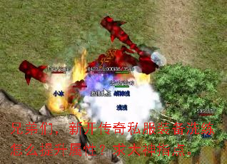兄弟们,新开传奇私服装备洗练怎么提升属性?求大神指点。 兄弟们,新开传奇私服装备洗练怎么提升属性?求大神指点。