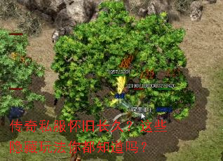 传奇私服怀旧长久?这些隐藏玩法你都知道吗? 传奇私服怀旧长久?这些隐藏玩法你都知道吗?