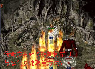 传奇岁月必杀技如何学习与怒气快速聚集方法? 传奇岁月必杀技如何学习与怒气快速聚集方法?