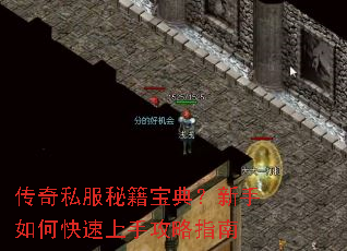 传奇私服秘籍宝典?新手如何快速上手攻略指南 传奇私服秘籍宝典?新手如何快速上手攻略指南
