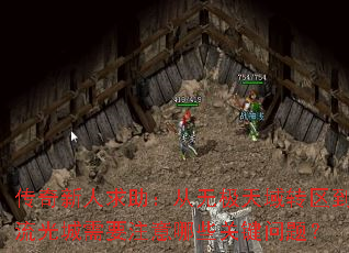 传奇新人求助:从无极天域转区到流光城需要注意哪些关键问题? 传奇新人求助:从无极天域转区到流光城需要注意哪些关键问题?