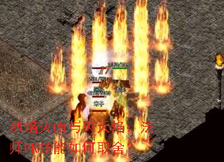 烈焰火雨与灭天焰:法师PK技能如何取舍? 烈焰火雨与灭天焰:法师PK技能如何取舍?