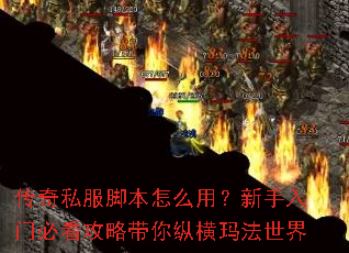传奇私服脚本怎么用?新手入门必看攻略带你纵横玛法世界 传奇私服脚本怎么用?新手入门必看攻略带你纵横玛法世界