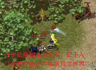 传奇私服脚本怎么用?新手入门必看攻略带你纵横玛法世界 传奇私服脚本怎么用?新手入门必看攻略带你纵横玛法世界
