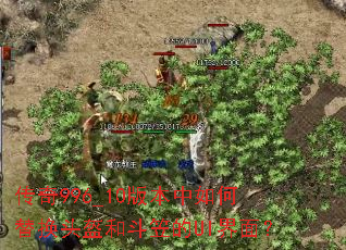 传奇996_10版本中如何替换头盔和斗笠的UI界面? 传奇996_10版本中如何替换头盔和斗笠的UI界面?