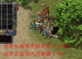 传奇私服微变版本新手入坑?这些必备技巧你掌握了吗? 传奇私服微变版本新手入坑?这些必备技巧你掌握了吗?