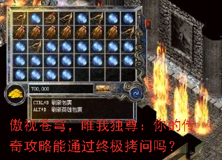 傲视苍穹,唯我独尊:你的传奇攻略能通过终极拷问吗? 傲视苍穹,唯我独尊:你的传奇攻略能通过终极拷问吗?