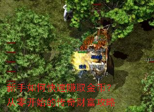 新手如何快速赚取金币?从零开始的传奇财富攻略 新手如何快速赚取金币?从零开始的传奇财富攻略