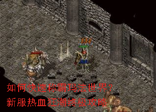 如何快速称霸玛法世界?新服热血狂潮终极攻略 如何快速称霸玛法世界?新服热血狂潮终极攻略