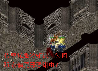 传奇私服冷知识:为何玩家偏爱邪恶钳虫? 传奇私服冷知识:为何玩家偏爱邪恶钳虫?