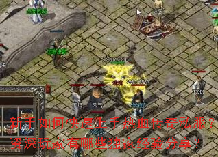 新手如何快速上手热血传奇私服?资深玩家有哪些独家经验分享? 新手如何快速上手热血传奇私服?资深玩家有哪些独家经验分享?