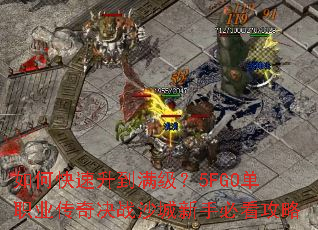 如何快速升到满级?5FGO单职业传奇决战沙城新手必看攻略 如何快速升到满级?5FGO单职业传奇决战沙城新手必看攻略