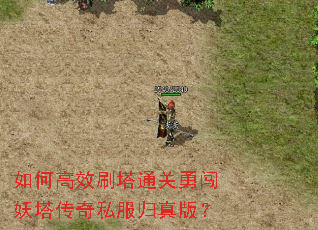 如何高效刷塔通关勇闯妖塔传奇私服归真版? 如何高效刷塔通关勇闯妖塔传奇私服归真版?