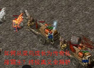 ��δӲ���ɳ�Ϊ����˽���������ռ�����ȫ����