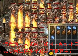 传奇新手大哉问:如何从萌新小白成长为纵横沙场的沙巴克霸主? 传奇新手大哉问:如何从萌新小白成长为纵横沙场的沙巴克霸主?