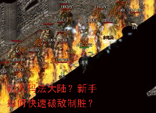 初入玛法大陆?新手如何快速破敌制胜? 初入玛法大陆?新手如何快速破敌制胜?