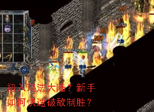 初入玛法大陆?新手如何快速破敌制胜? 初入玛法大陆?新手如何快速破敌制胜?