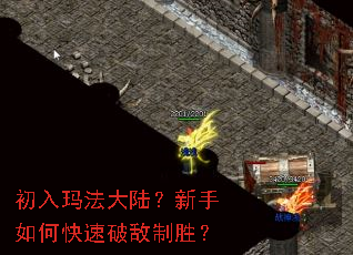 初入玛法大陆?新手如何快速破敌制胜? 初入玛法大陆?新手如何快速破敌制胜?