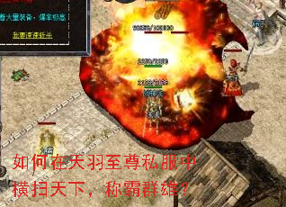如何在天羽至尊私服中横扫天下,称霸群雄? 如何在天羽至尊私服中横扫天下,称霸群雄?