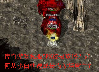 传奇游戏私服5PK终极攻略?如何从小白快速成长为沙场霸主? 传奇游戏私服5PK终极攻略?如何从小白快速成长为沙场霸主?