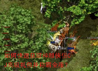 如何快速获取神雕侠侣CJ高级礼包并称霸全服? 如何快速获取神雕侠侣CJ高级礼包并称霸全服?