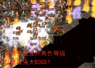 ��ο���������ɫ�ȼ�����սǿ��BOSS��