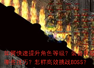 ��ο���������ɫ�ȼ���װ����ȡ����Щ���ɣ�������Ч��սBOSS��