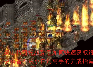 梁山传奇私服新手如何快速获取终极装备?从小白到高手的养成指南 梁山传奇私服新手如何快速获取终极装备?从小白到高手的养成指南