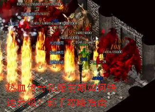 热血传奇私服前期如何快速升级?新手攻略指南 热血传奇私服前期如何快速升级?新手攻略指南