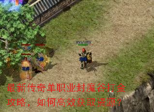 最新传奇单职业封魔谷打金攻略,如何高效获取资源? 最新传奇单职业封魔谷打金攻略,如何高效获取资源?