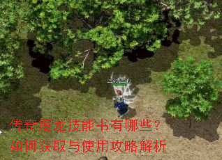 传奇魔龙技能书有哪些?如何获取与使用攻略解析 传奇魔龙技能书有哪些?如何获取与使用攻略解析