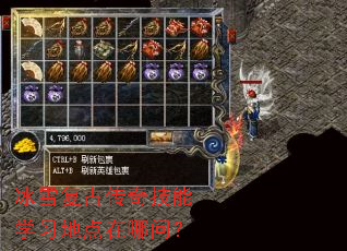 ��ѩ���Ŵ��漼��ѧϰ�ص������ʣ�