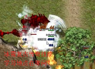 ��ѩ���Ŵ��漼��ѧϰ�ص������ʣ�