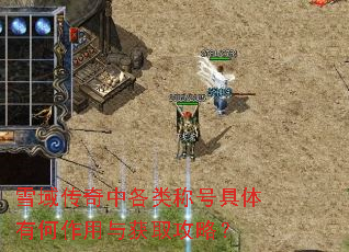 雪域传奇中各类称号具体有何作用与获取攻略? 雪域传奇中各类称号具体有何作用与获取攻略?