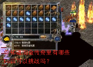 ��֪���Խ���������Щboss������ս��
