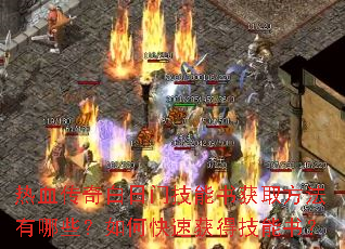 ��Ѫ��������ż������ȡ��������Щ����ο��ٻ�ü����飿